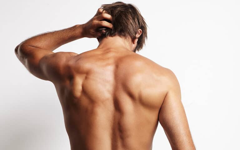 Programme de musculation pour Homme – Intermédiaire : Dos et Biceps
